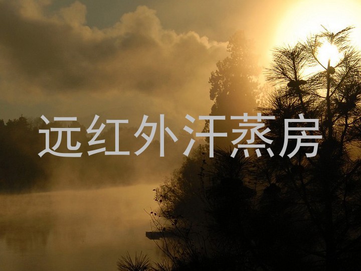 远红外汗蒸房