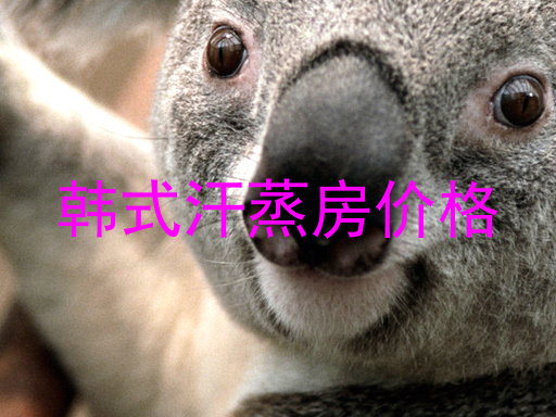 韩式汗蒸房价格