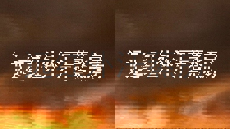 远红外汗蒸房