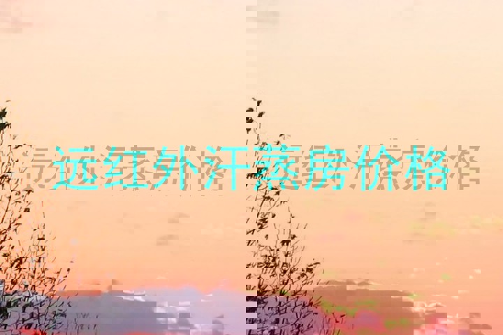 远红外汗蒸房价格