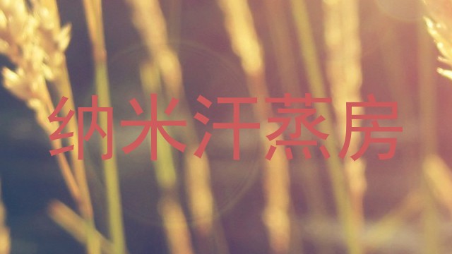 纳米汗蒸房