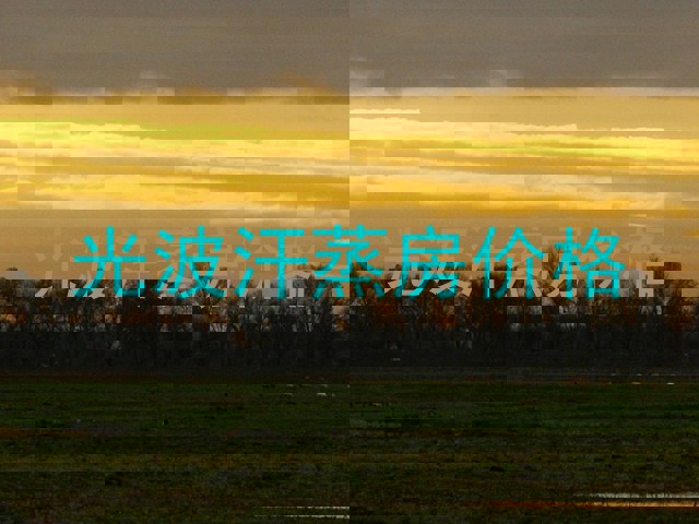 光波汗蒸房价格