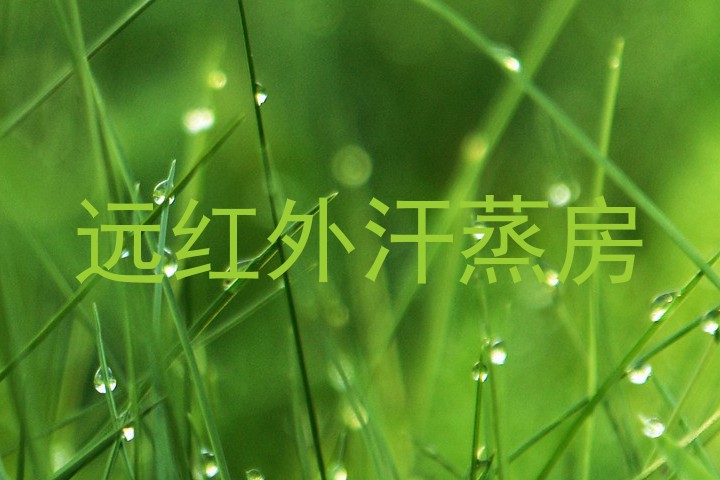 远红外汗蒸房