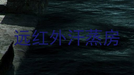 远红外汗蒸房