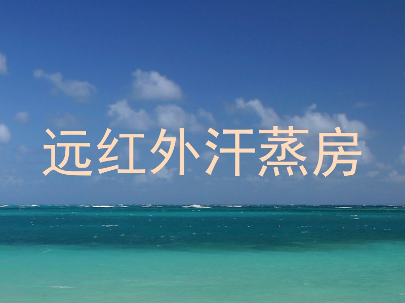 远红外汗蒸房