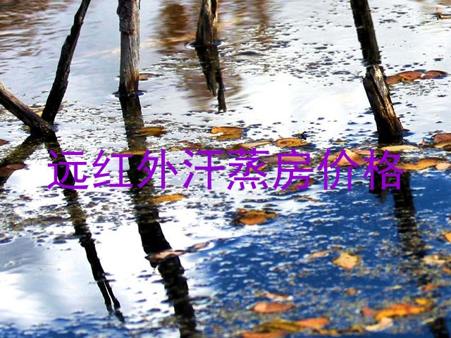 远红外汗蒸房价格