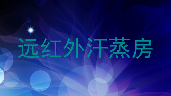 远红外汗蒸房