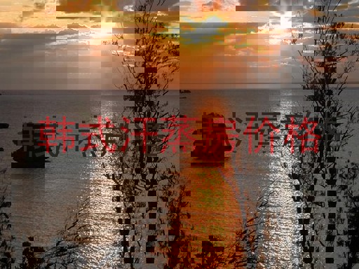 韩式汗蒸房价格