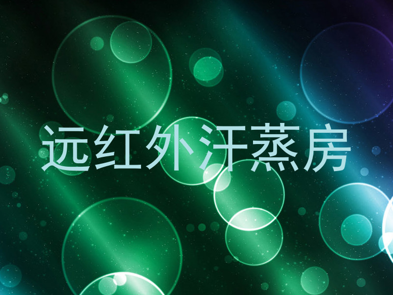 远红外汗蒸房