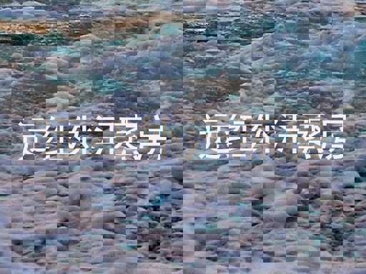 远红外汗蒸房