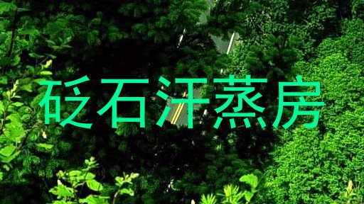 砭石汗蒸房