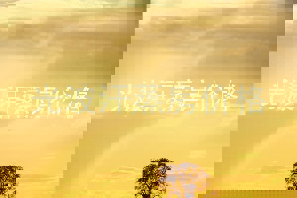 光波汗蒸房价格