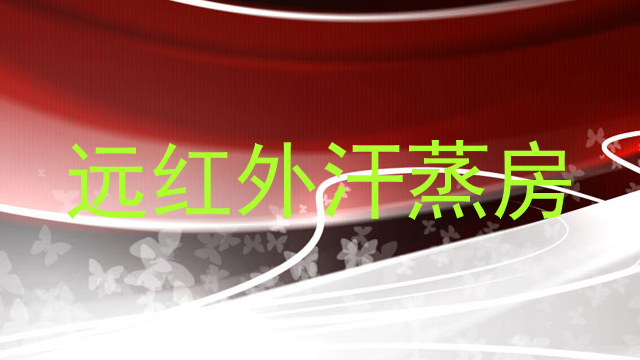 远红外汗蒸房