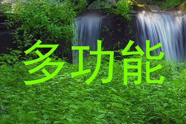 多功能