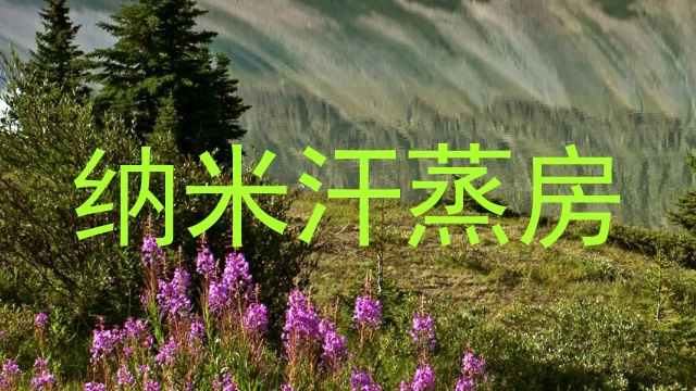 纳米汗蒸房