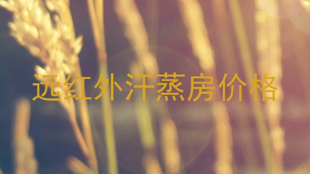 远红外汗蒸房价格