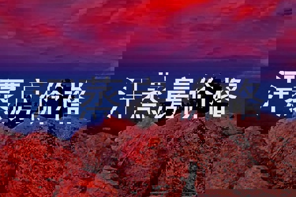 汗蒸房价格