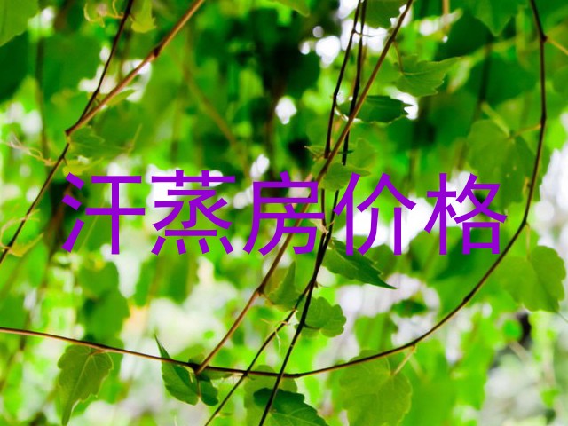 汗蒸房价格