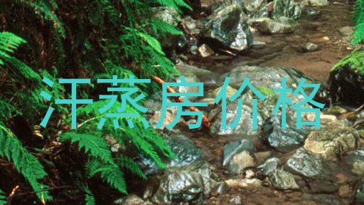 汗蒸房价格