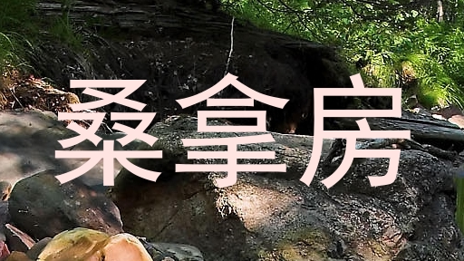 桑拿房