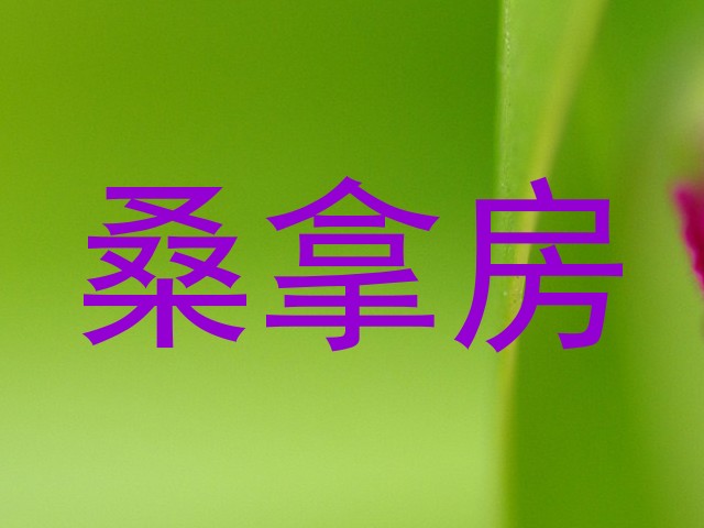 桑拿房