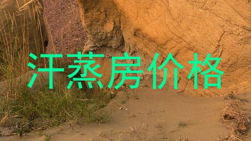 汗蒸房价格