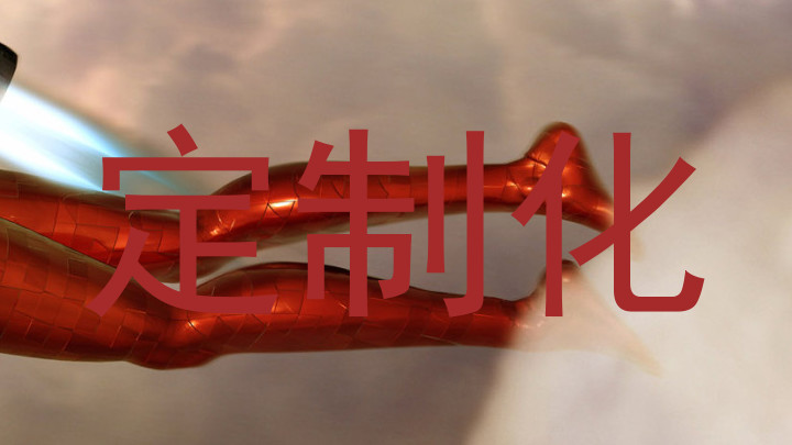 定制化