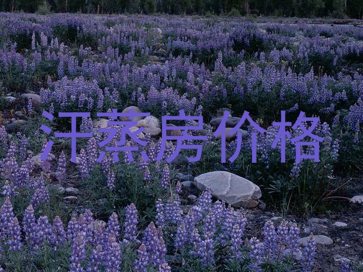 汗蒸房价格