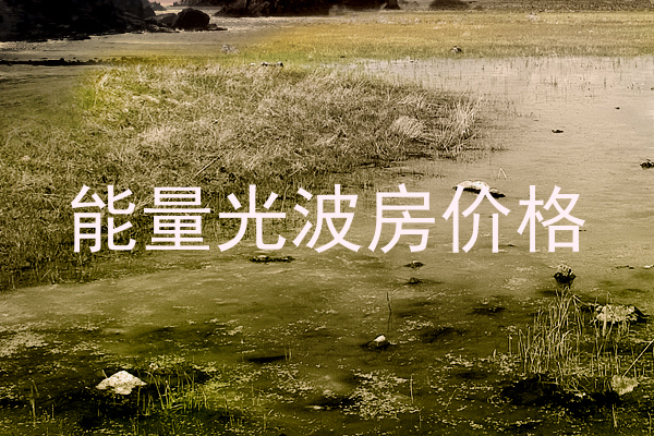 能量光波房价格