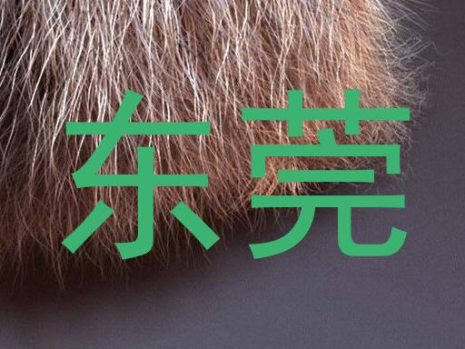 东莞