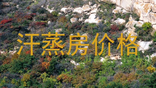 汗蒸房价格