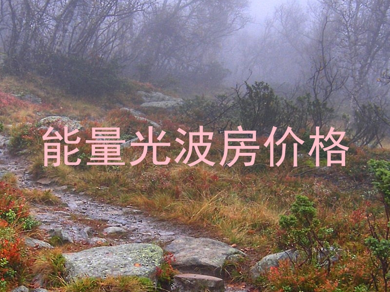 能量光波房价格