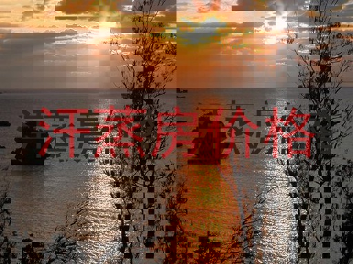 汗蒸房价格