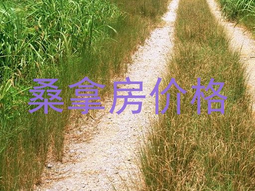 桑拿房价格