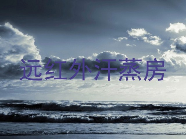 远红外汗蒸房
