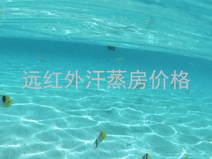 远红外汗蒸房价格