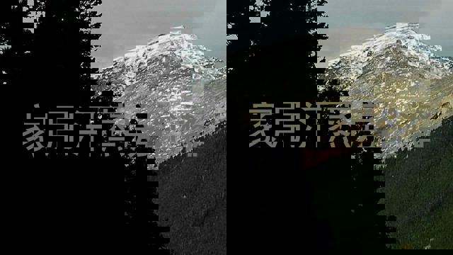 家用汗蒸房价格