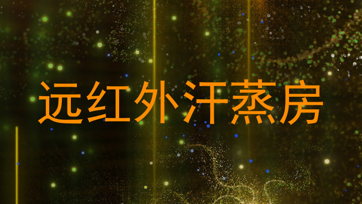 远红外汗蒸房