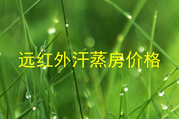 远红外汗蒸房价格