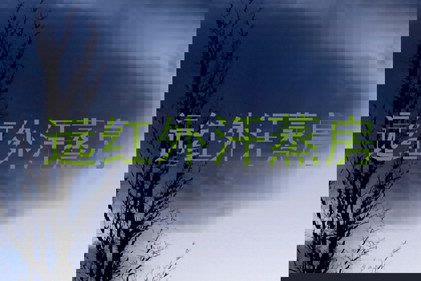 远红外汗蒸房