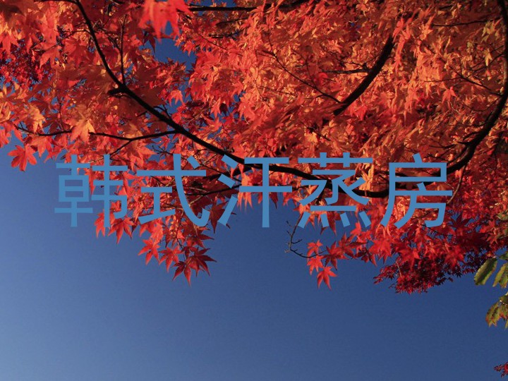 韩式汗蒸房