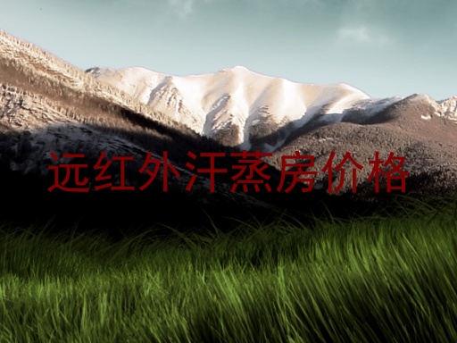 远红外汗蒸房价格