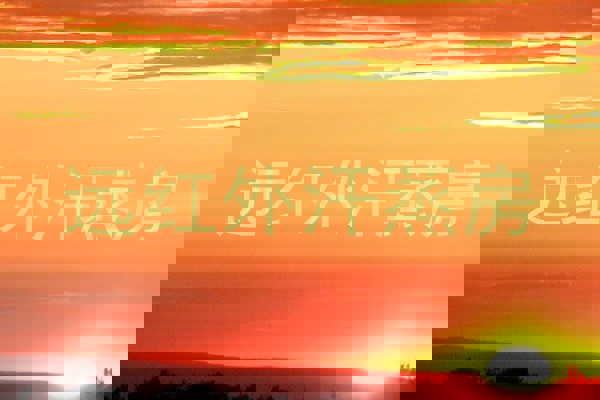 远红外汗蒸房