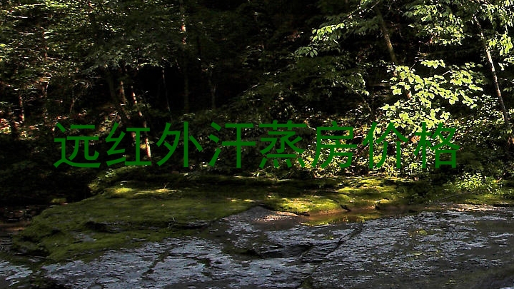 远红外汗蒸房价格