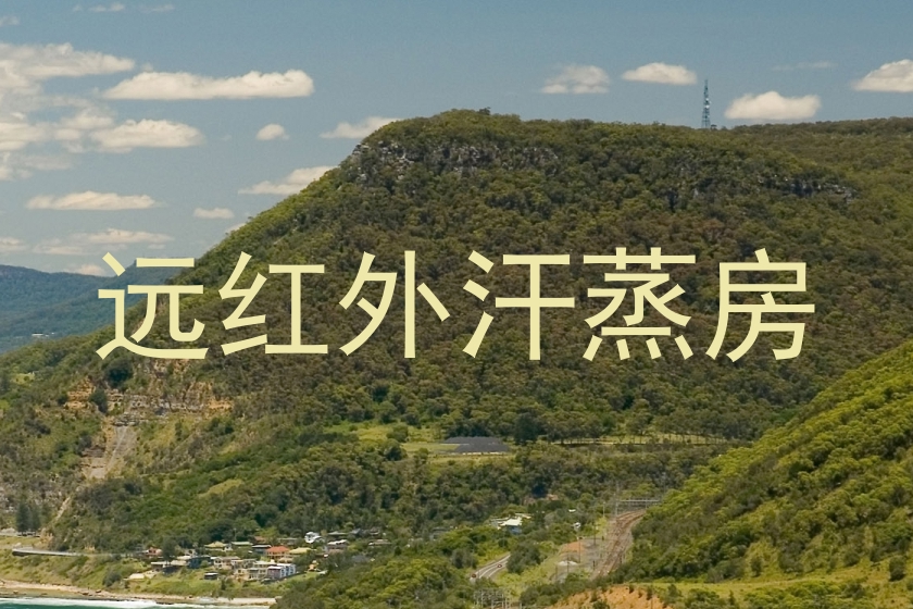 远红外汗蒸房