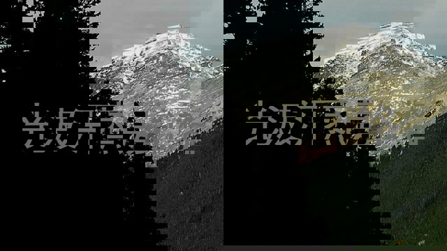 光波汗蒸房价格