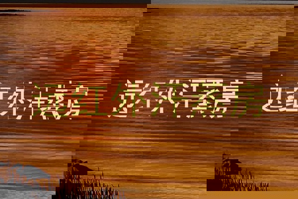 远红外汗蒸房