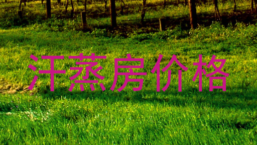 汗蒸房价格
