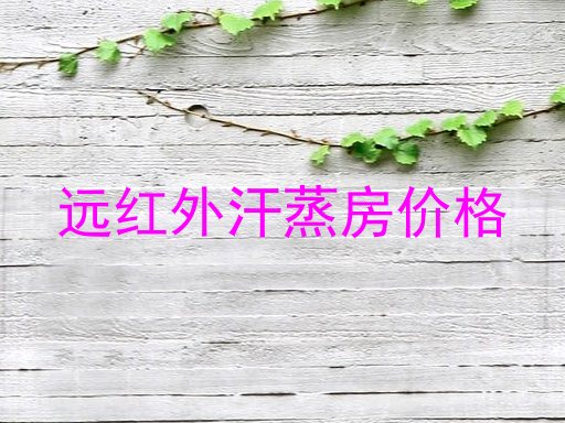 远红外汗蒸房价格