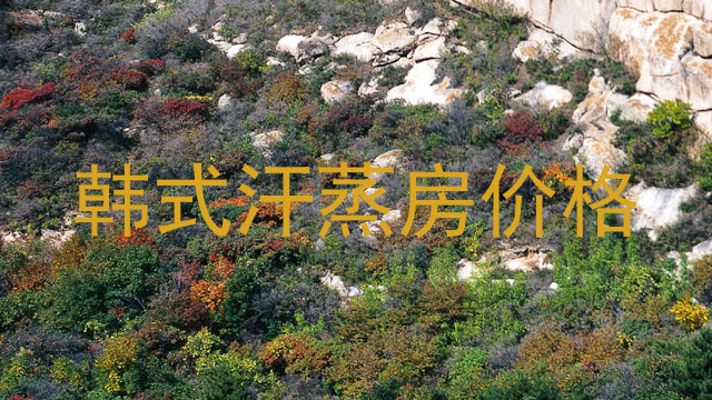 韩式汗蒸房价格